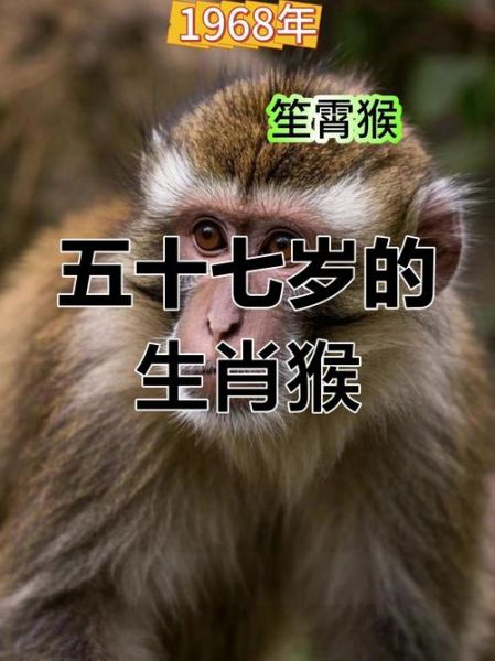 1968年属相是什么生肖（1968年属什么生肖？）