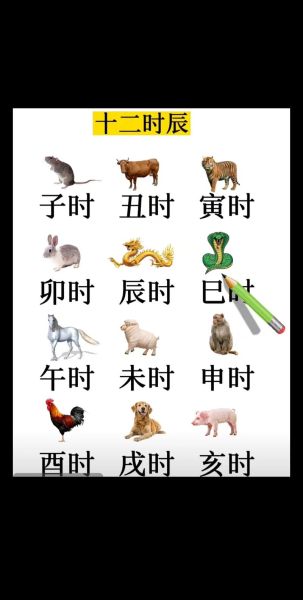 十二时辰对应生肖属相（十二时辰生肖对照表：寅时是哪个属相？）