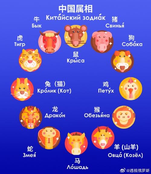 十二生肖命定属相（十二生肖的命定属相怎么看😺）