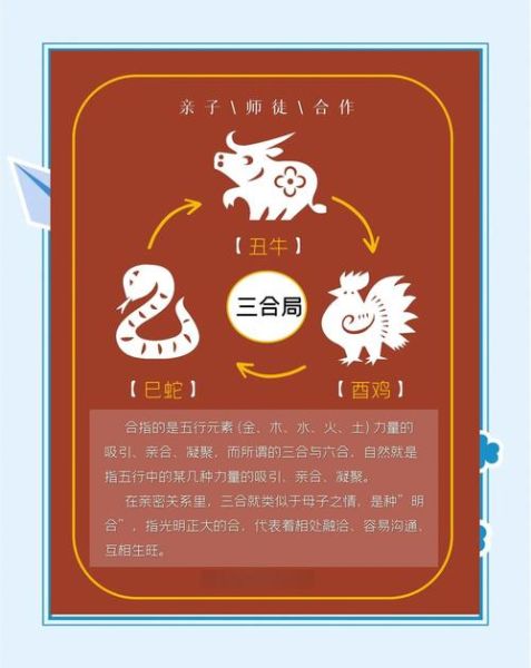 理智属相是什么生肖呢（最理智的生肖是牛吗？）