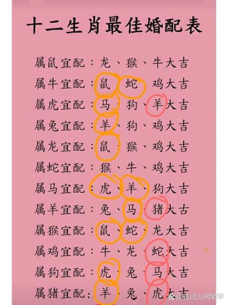 生肖猪属相虎（生肖猪和虎在一起合不合财？）