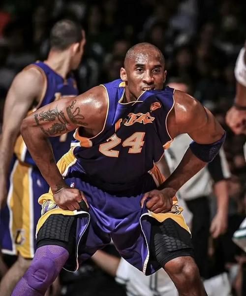 科比是什么生肖属相（科比是什么生肖？速查指南！）