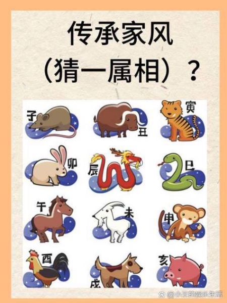 生肖大属相小属相（生肖大小属相怎么区分？一文全懂🐭🐲）