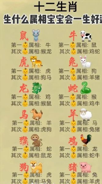 生肖大属相小属相（生肖大小属相怎么区分？一文全懂🐭🐲）