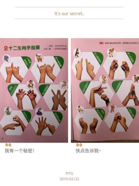 生肖属相手势图片（12属相手势正确拍照图解）