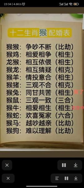 92属什么生肖属相（92属什么生肖最准确的答案）