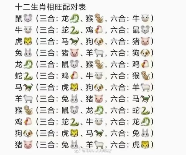 昨天属相什么生肖（昨天属什么生肖查询最简单的方法）