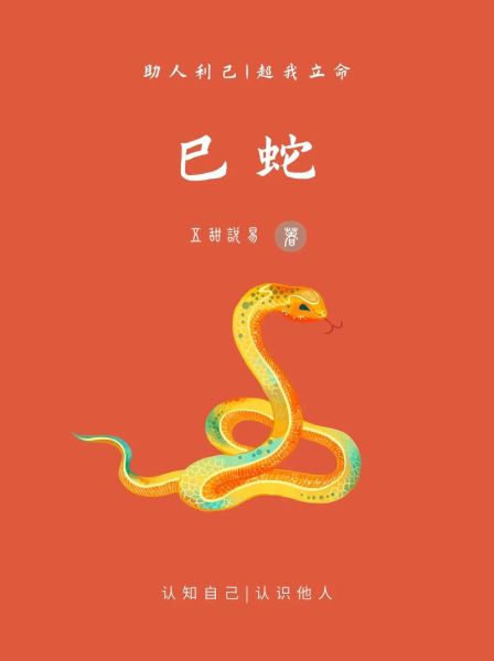 奇兵夜袭属相是什么生肖