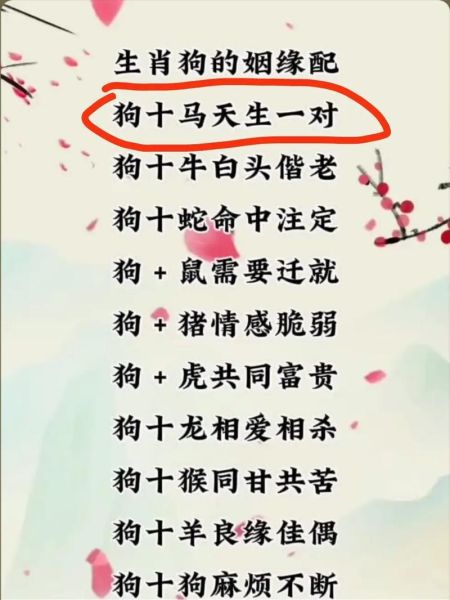 狗鸡生肖属相配吗（属狗和属鸡属相配吗？）