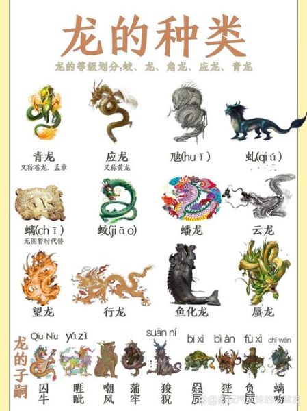 生肖属相背景视频（生肖属相背景图制作教程🐉）