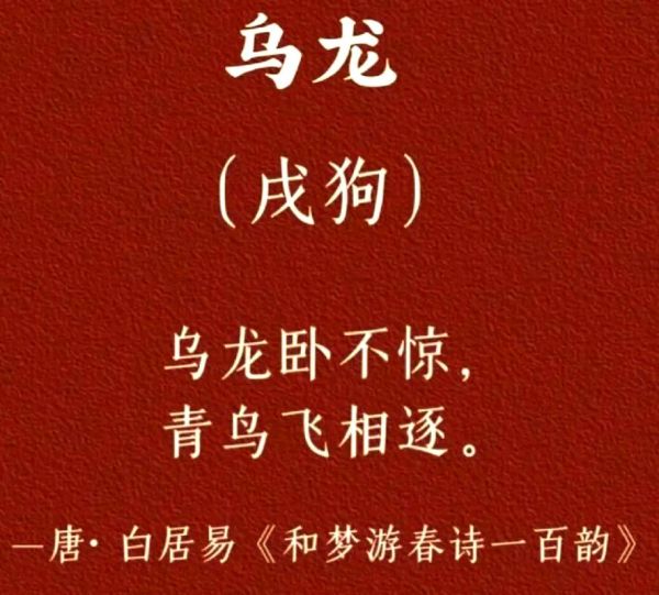 唐白居易属相什么生肖（白居易属什么生肖）
