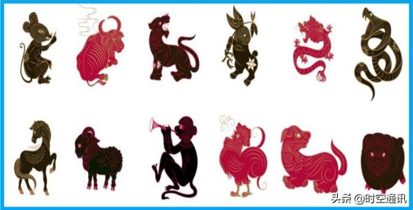 伪科学生肖属相（伪科学生肖属相常见说法盘点🐯🌟）