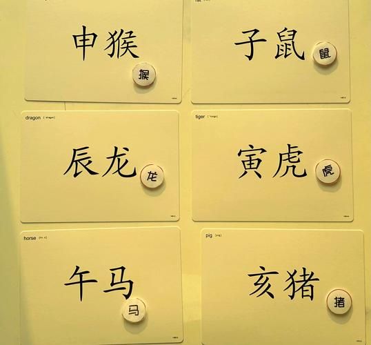 生肖派对游戏属相(生肖派对游戏属相怎么选择)