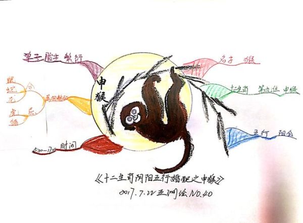 生肖属相思维导图（生肖属相思维导图怎么画最实用）